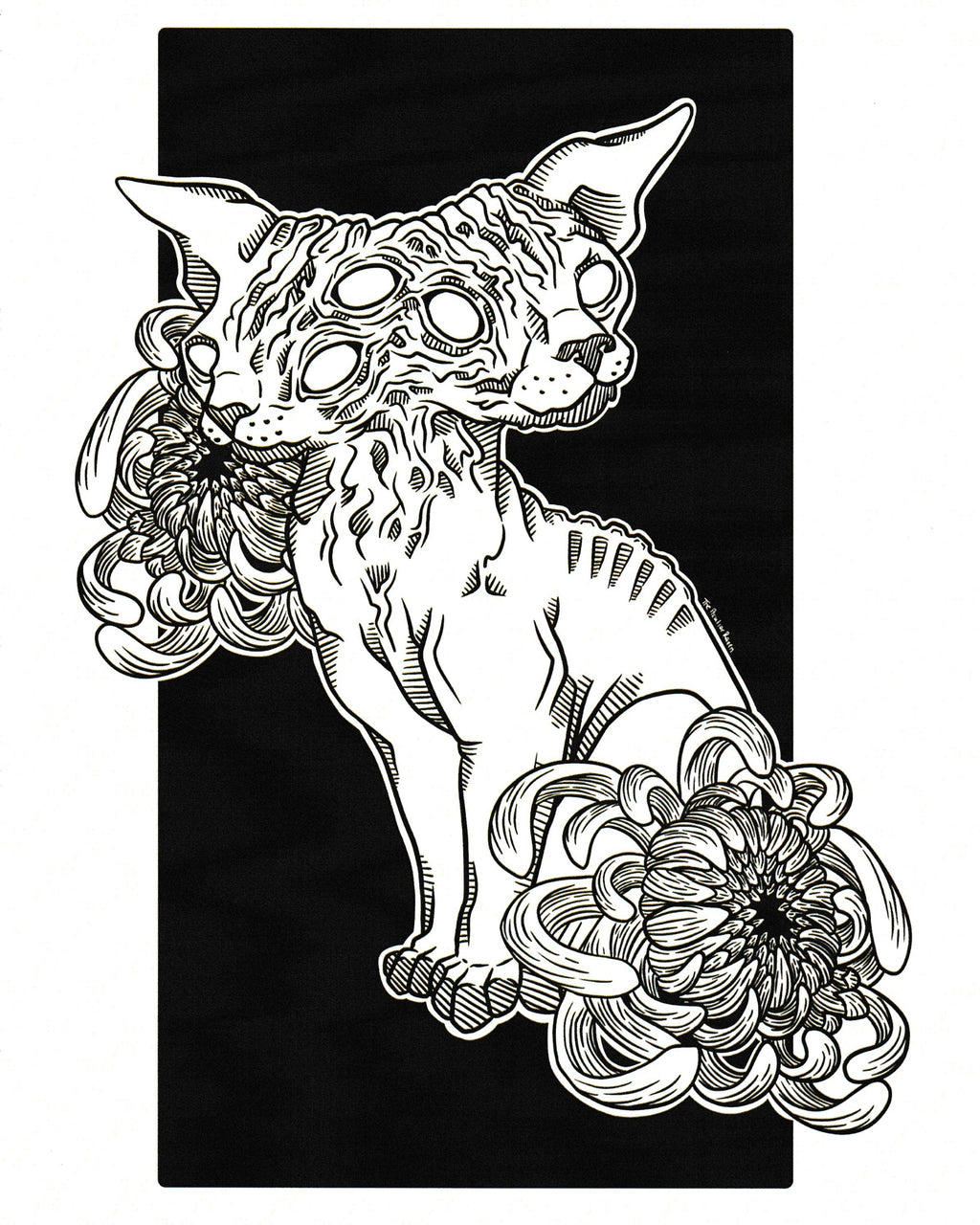 Two-Faced Cat 8x10 Art Print