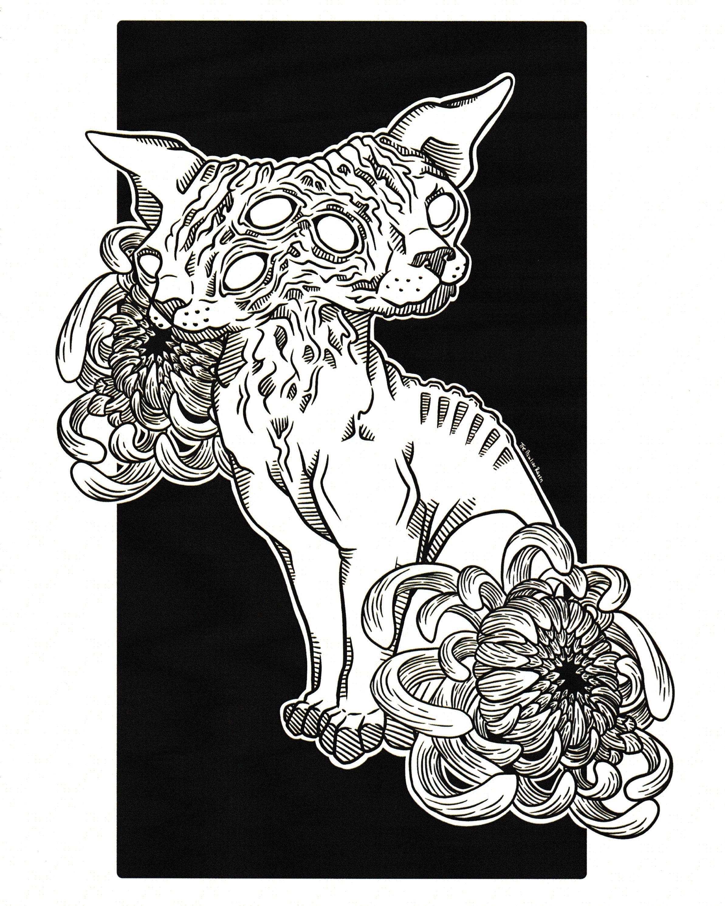 Two-Faced Cat 8x10 Art Print