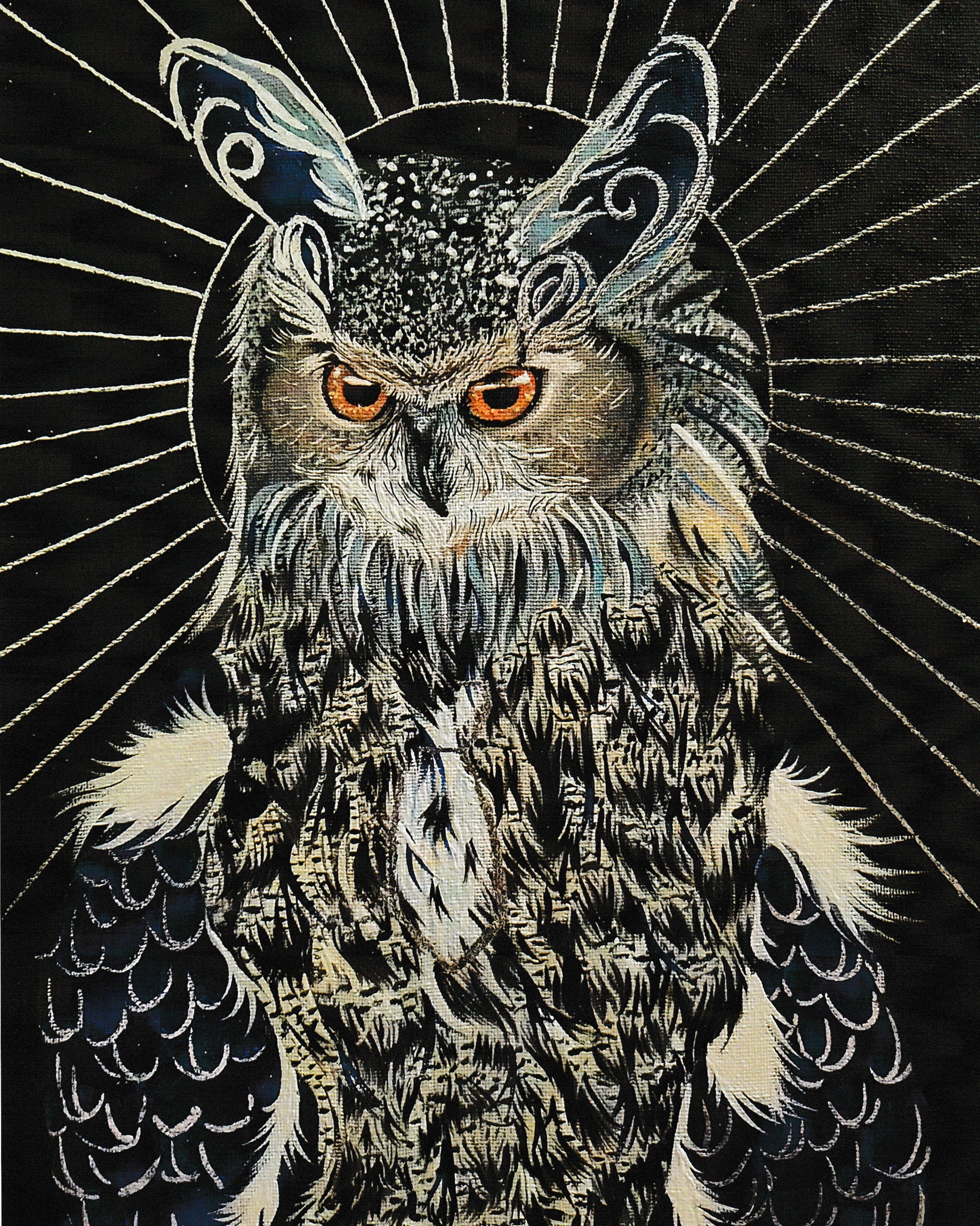 Great Horned Owl 8x10 Art Print